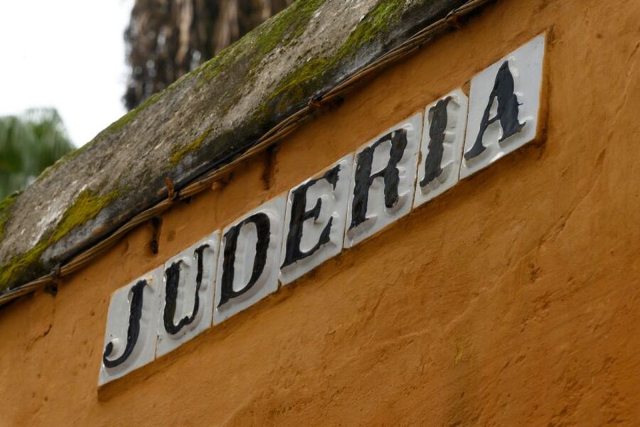 Seville: Barrio de Santa Cruz Small Group Walking Tour - Practical advice for a smoother outing