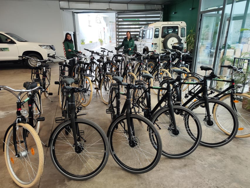 Seville: Bike Rental - A practical way to see Seville by bike