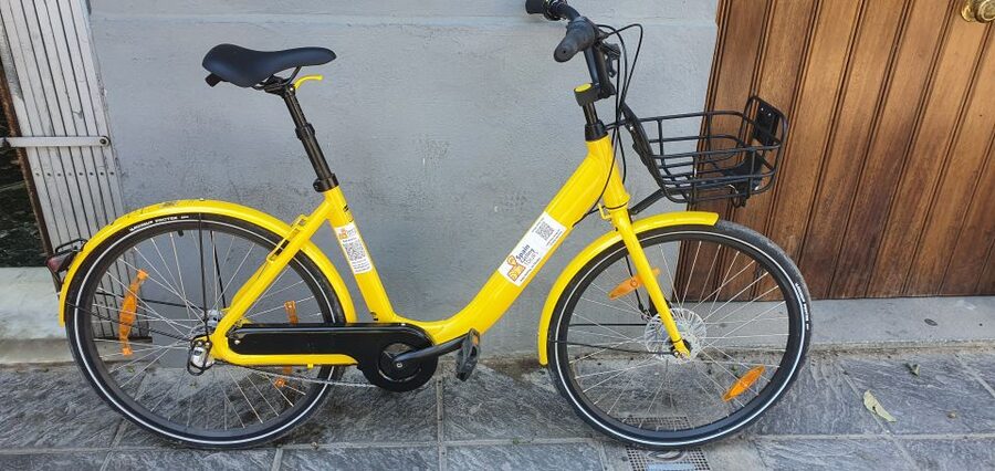 Seville: Bike Rental for a Day - Starting in Plaza de Santa Cruz