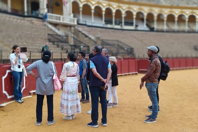Seville Bullring: Guided Tour with Direct Entry - Who should book this visit?