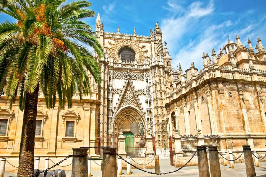 Seville: Cathedral and Alcázar Guided Tour - What the guides add to the experience