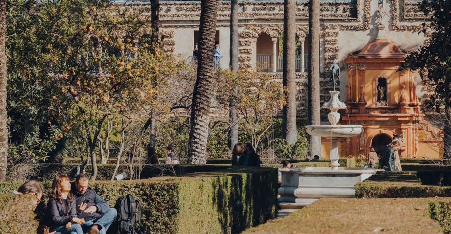 Seville: Cathedral and Alcázar Guided Tour - Price and practical value at $56