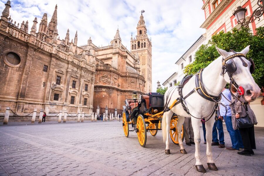 Seville: Cathedral and Alcázar Guided Tour - Inside Seville Cathedral: 75 minutes of Gothic scale