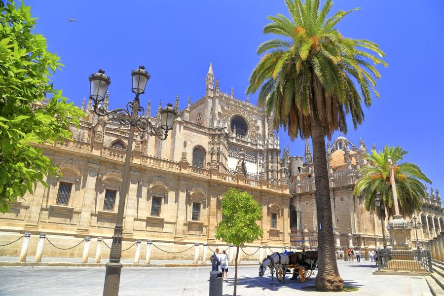 Seville: Cathedral, Giralda & Alcazar Entry With Guided Tour - Starting near Avenida de la Constitución