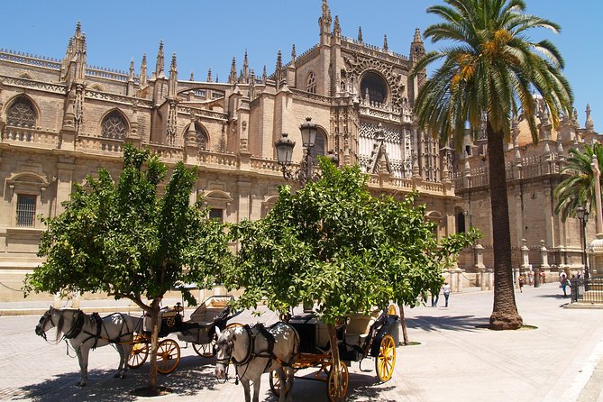 Seville: Cathedral & Giralda Guided Tour with Tickets - The tomb of Christopher Columbus