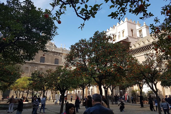 Seville Cathedral Tour including tickets and skip the line entry - Walking Into the Vast Gothic Interior