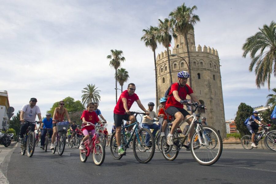 Seville City Bike Tour: Top Seville's Monuments - Along the river to the Torre del Oro