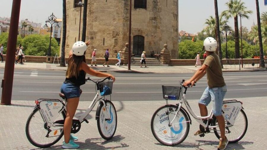 Seville City Bike Tour: Top Seville's Monuments - Starting in Santa Cruz