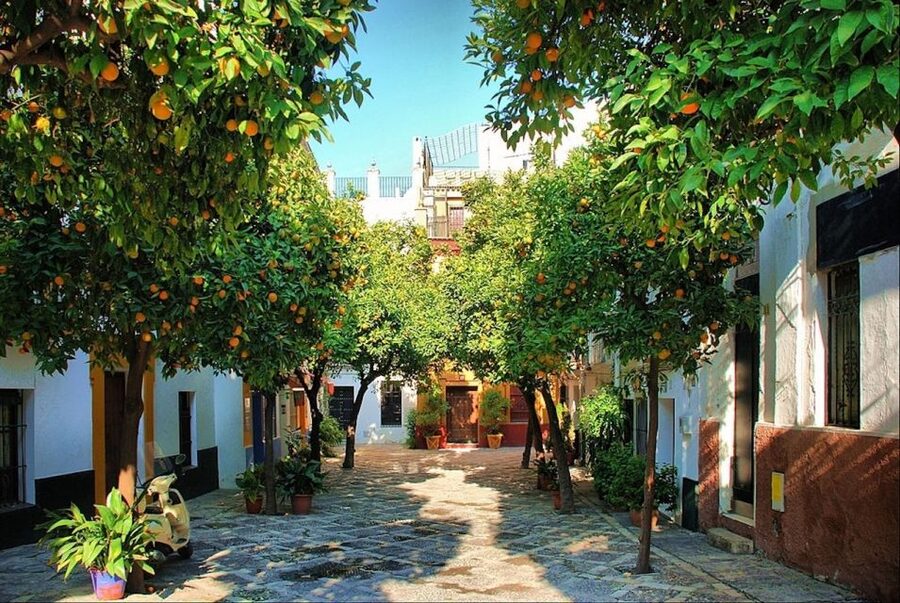 Seville: City of Queens, Nuns, Sex Work & Witches - Calle Susona and the legends of Santa Cruz