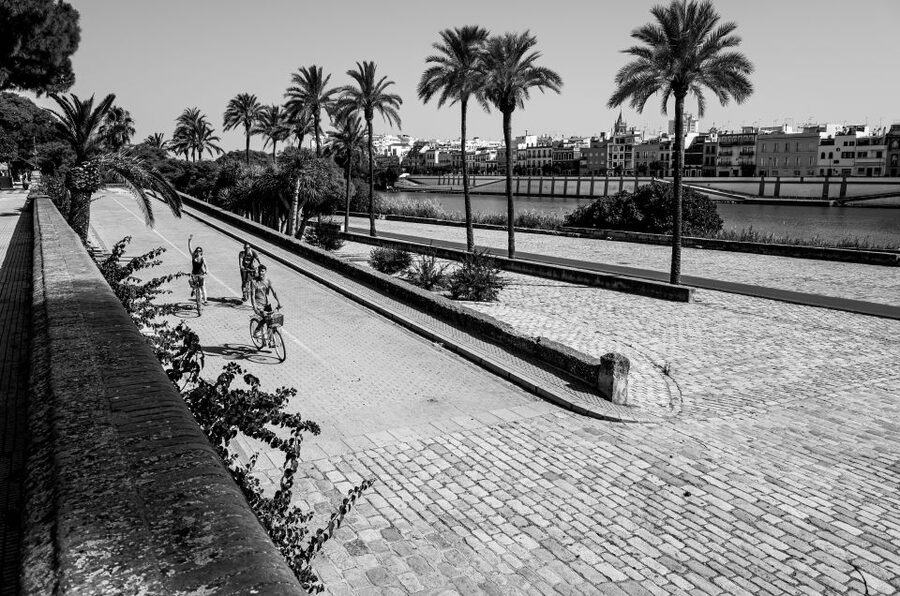 Seville: City Sightseeing and Local Culture Bike Tour - San Telmo Palace and the Alcázar area