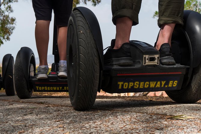 Seville City Tour 3 Hour Historical Segway Adventure - Tobacco, gardens, and Santa Cruz