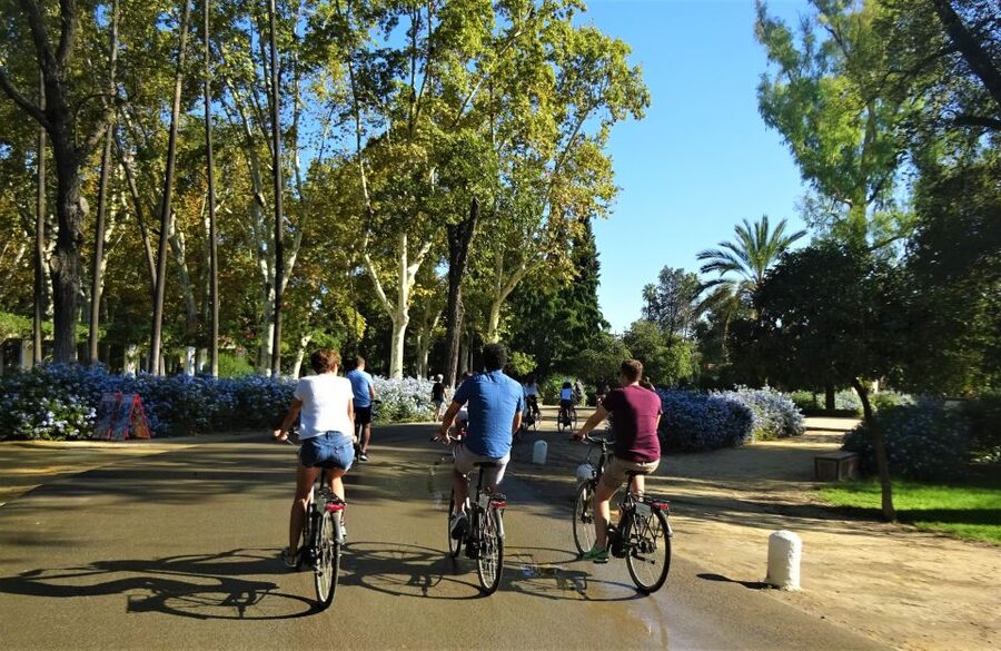 Seville: Electric Bike Tour in Small Group - Plaza de España and Maria Luisa Park