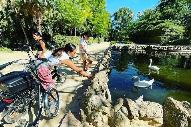 Seville ElectricBike Tour 2h | Explore Like a Local | Small Group - Starting near Seville Cathedral on Calle Francos