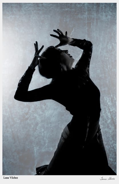 Seville: Enjoy a class of approach to flamenco - Is $41 a fair price for one hour?