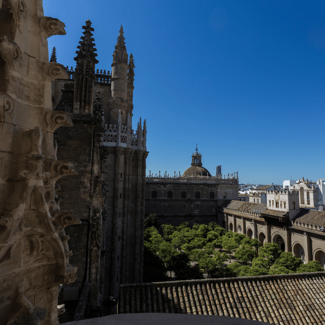Seville: Fast Track Cathedral Giralda Tower Last minute Tour - Dress, photography, and what to bring
