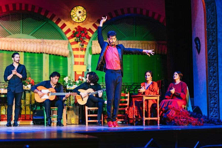 Seville: Flamenco at El Palacio Andaluz with Optional Dinner - The 21:30 show and the free return bus