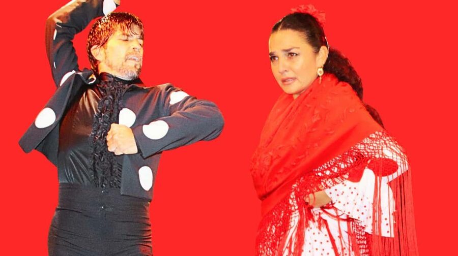 Seville: Flamenco Show at Tablao La Cantaora - Key points to know before booking