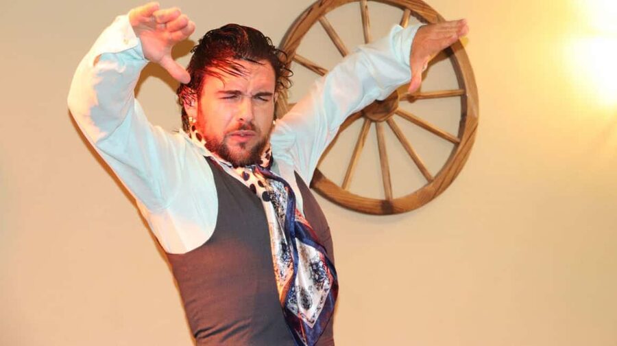 Seville: Flamenco Show at Tablao La Cantaora - What makes the artists special