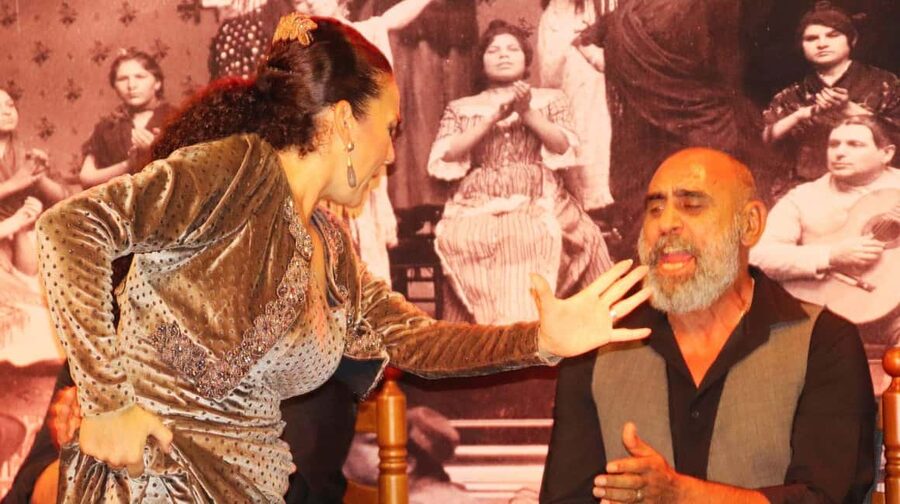 Seville: Flamenco Show at Tablao La Cantaora - Drinks, catering, and ticket value