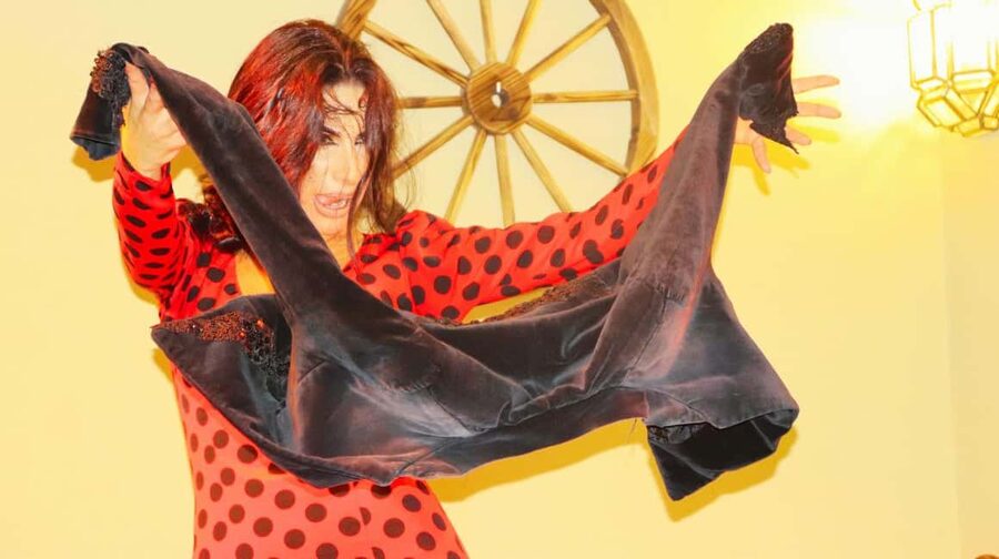Seville: Flamenco Show at Tablao La Cantaora - Who will enjoy Tablao La Cantaora most