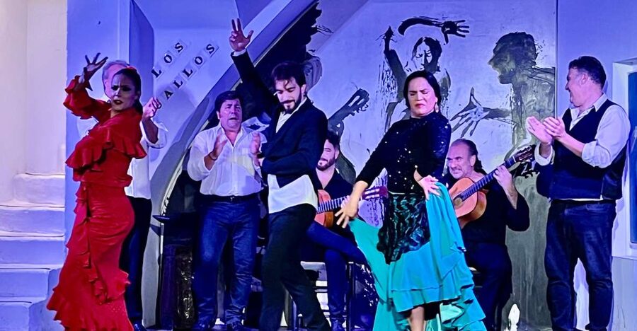 Seville: Flamenco Show at Tablao Los Gallos - The 75-minute performance, from first guitar note to final applause