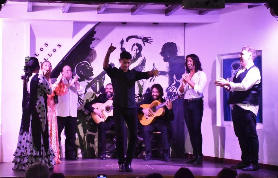 Seville: Flamenco Show at Tablao Los Gallos - Is $45 a fair price?