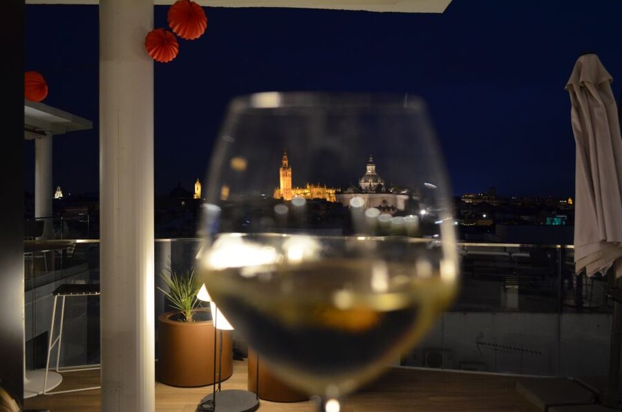 Seville: Flamenco Show & Roof Dinner with Cathedral Views - Key points to know before booking
