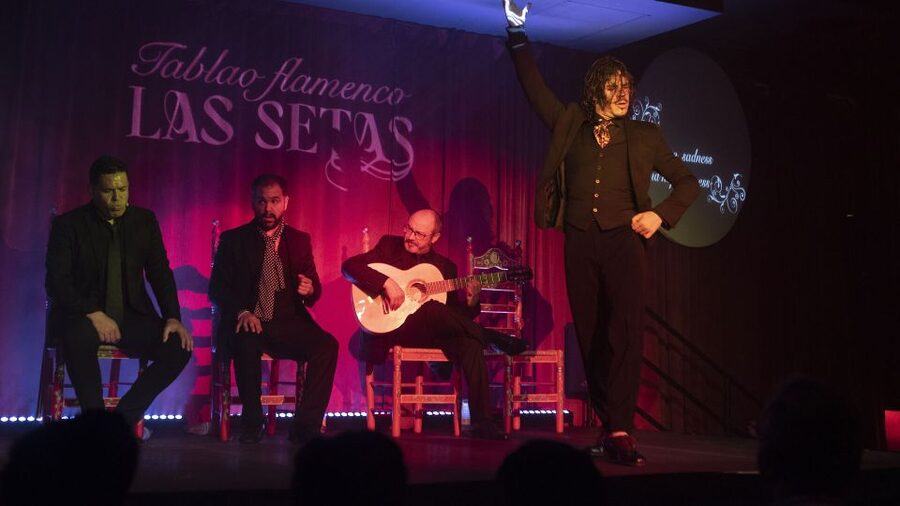 Seville: Flamenco Show & Roof Dinner with Cathedral Views - Why this makes a good Seville evening