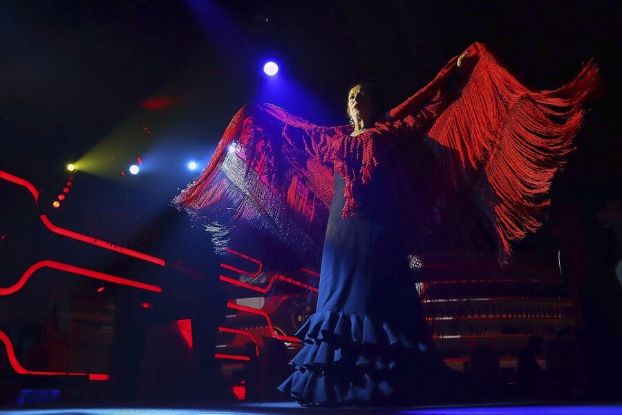 Seville: Flamenco Show Ticket at Tablao Flamenco Las Setas - Who will enjoy this show most
