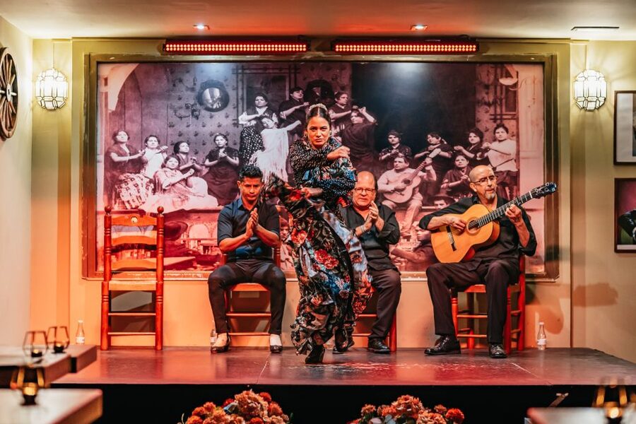 Seville: Flamenco Show with Andalusian Dinner at La Cantaora - The one-hour performance and what you will see