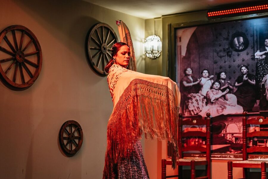Seville: Flamenco Show with Andalusian Dinner at La Cantaora - Drinks, wine, and the practical details
