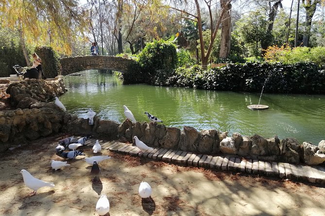 Seville Full Day Tour - Walking the narrow lanes of Santa Cruz
