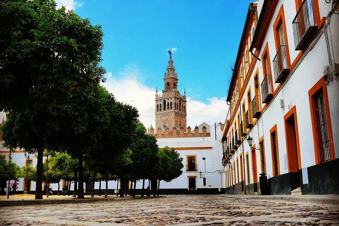 Seville Full Day Tour - Starting at Alfalfa Square and Salvador Square