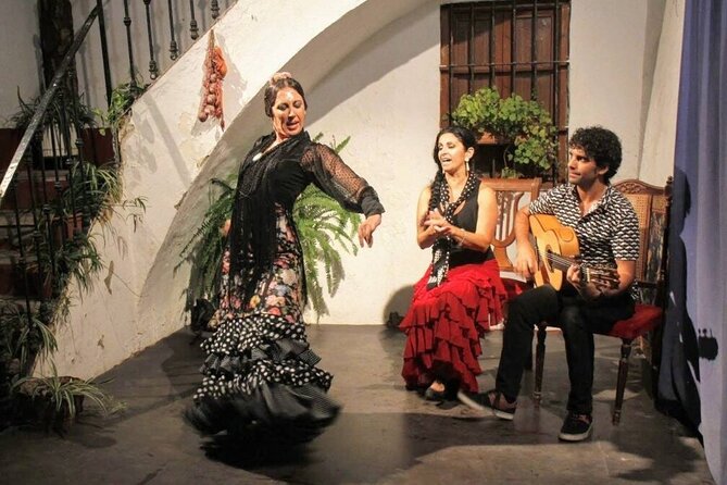 Seville: Fun class to approach Flamenco - Starting at Plaza Pelícano in Seville