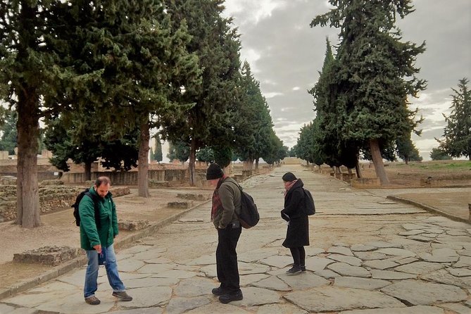 Seville: Games of Thrones and Roman Empire Italica Tour - Price, inclusions, and what you still pay for