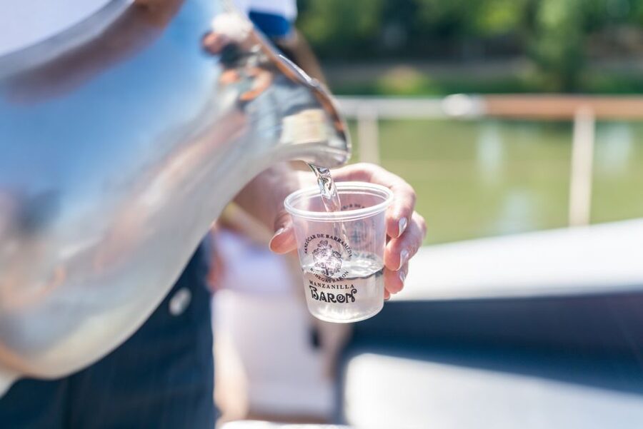 Seville: Guadalquivir Boat Tour with Optional Lunch/Dinner - Who should book this river cruise?