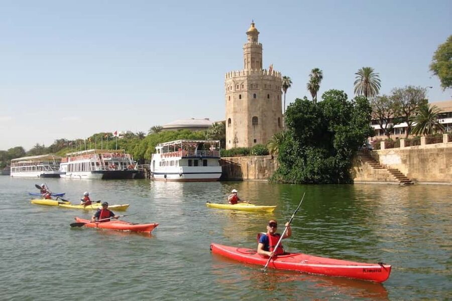 Seville: Guadalquivir River Kayak Tour or Kayak Rental - Choosing a guide or renting your own kayak