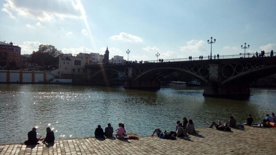 Seville: Guided Sightseeing Day Tour - Salvador Square, Sierpes Street, and Metropol Parasol