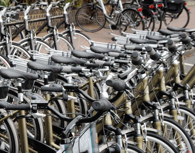 Seville: Guided Tour by Electric Bike - Why a bike is smart in Seville’s heat