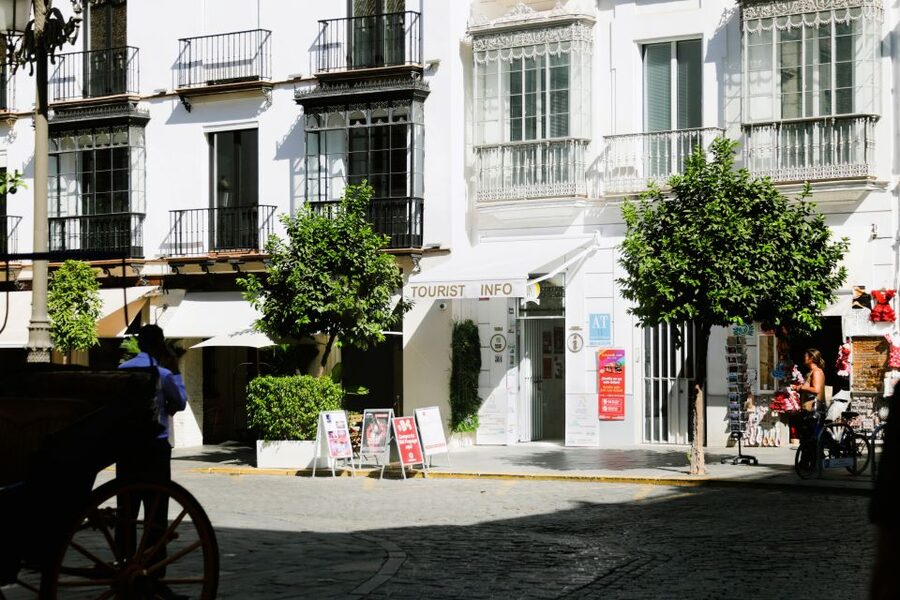 Seville: Guided Tour of Cathedral of Seville & Giralda Tower - Who will get the most from this visit