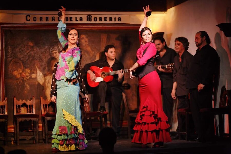Seville: Half-Day Flamenco & Tapas Night - Who should book this evening?
