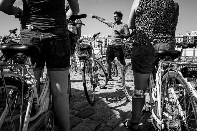 Seville Highlights Bike Tour (English) - The Alcázar and the river’s Torre del Oro