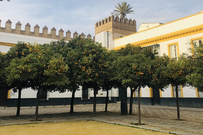Seville Highlights Private Walking Tour - Meeting guides such as Alba, Beatriz, Samuel, and Mila