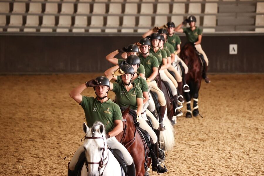 Seville: Horse's Show Entry Ticket. Optional Stud Farm Visit - The Traditions show is the payoff