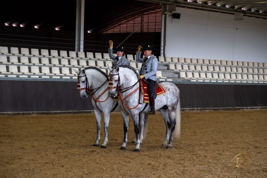 Seville: Horse's Show Entry Ticket. Optional Stud Farm Visit - Getting to Yeguada Torreluna from Seville