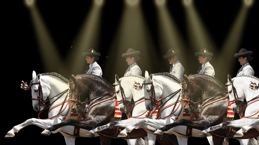Seville: Horse's Show Entry Ticket. Optional Stud Farm Visit - Languages, timing, and the entrance bracelet