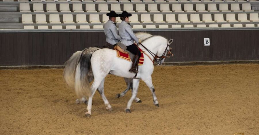 Seville: Horse's Show Entry Ticket. Optional Stud Farm Visit - Choosing between 45 minutes and the longer visit