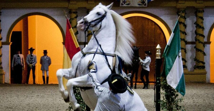 Seville: Jerez, Cadiz Wine Tasting with Optional Horse Show - Why this Jerez and Cadiz combination works