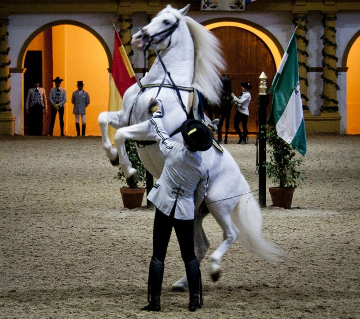 Seville: Jerez, Cadiz Wine Tasting with Optional Horse Show - The Andalusian horses at the Royal School