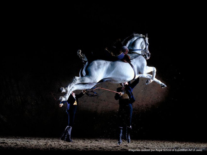 Seville: Jerez, Cadiz Wine Tasting with Optional Horse Show - Reaching Cadiz and finding your bearings